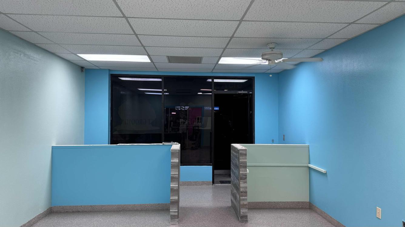 Finished painting and epoxy flooring